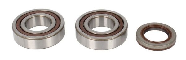 Rulment arbore cotit ALL BALLS pentru KTM EXC, MXC, SMR, SX, SXS, XC, XC-W, EXC-G; POLARIS OUTLAW 250-540 2000-2011