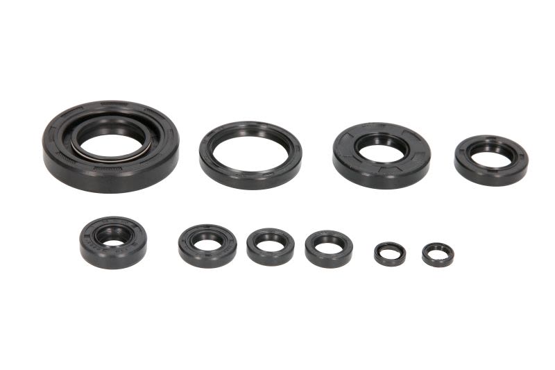 Set simeringuri motor WINDEROSA