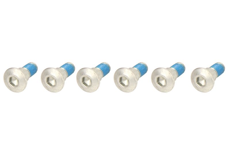 Set șuruburi disc frână TRW lungime 23,8 mm, oțel