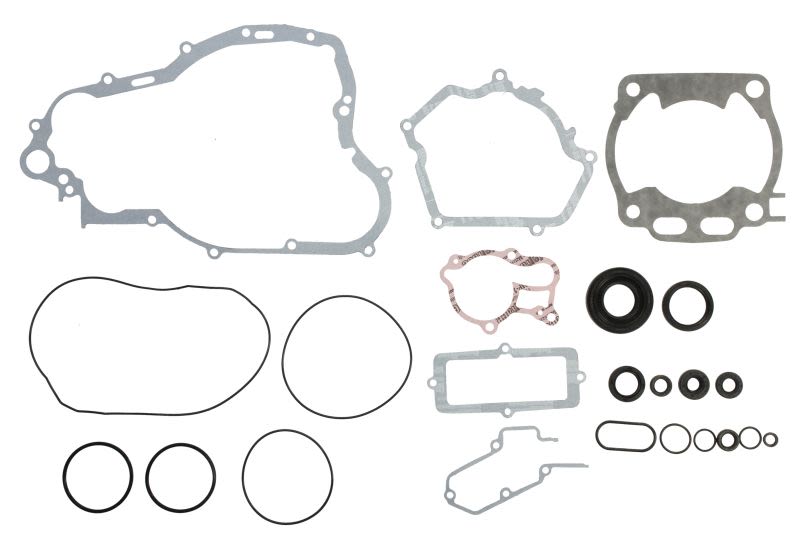 Set complet garnituri motor WINDEROSA