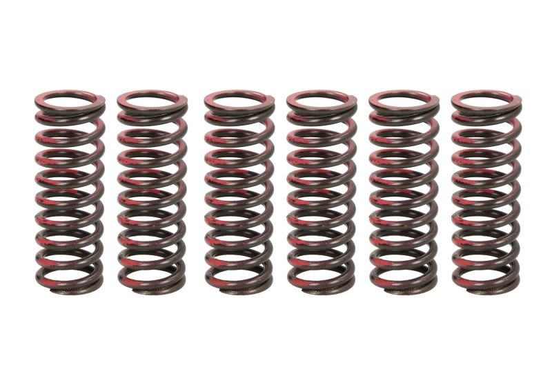 Set arcuri ambreiaj TRW pentru SUZUKI RM-Z 450 2005-2007