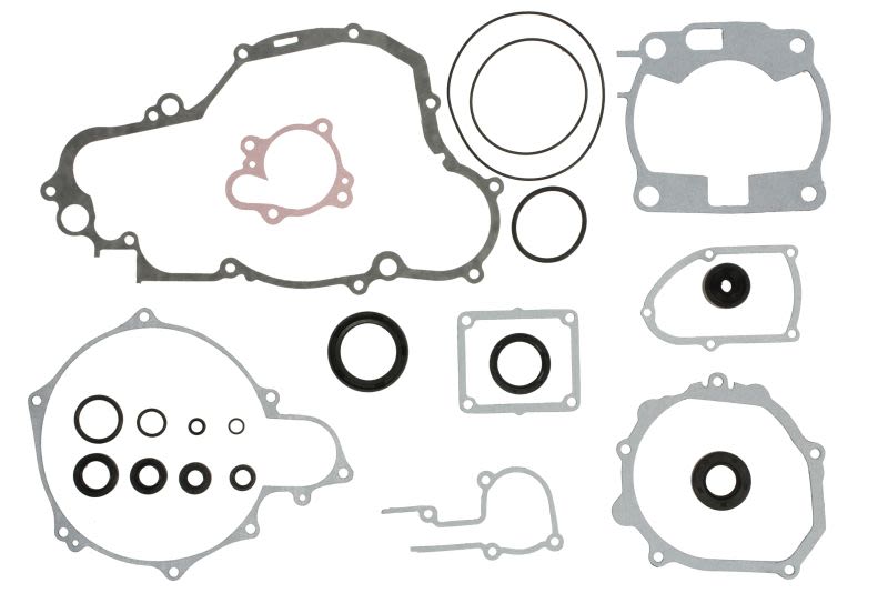 Set complet garnituri motor WINDEROSA