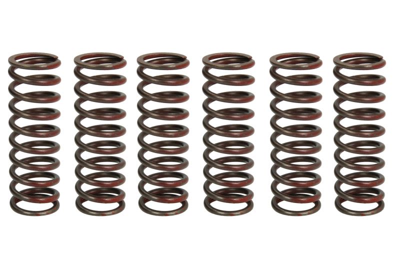 Set arcuri ambreiaj TRW pentru SUZUKI DL 650 2012-2021