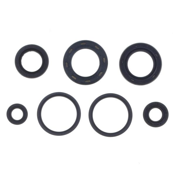 Set complet garnituri motor ATHENA
