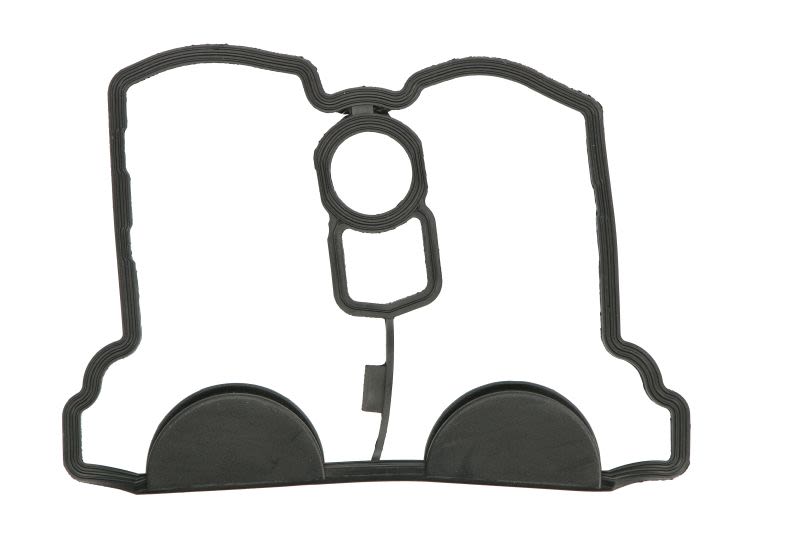 Garnitură capac chiulasă WINDEROSA