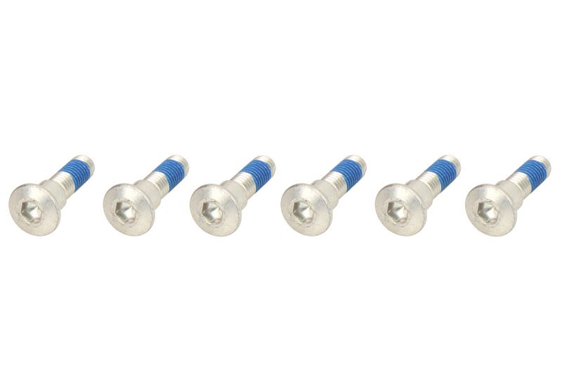Set șuruburi disc frână TRW lungime 33,5 mm, oțel