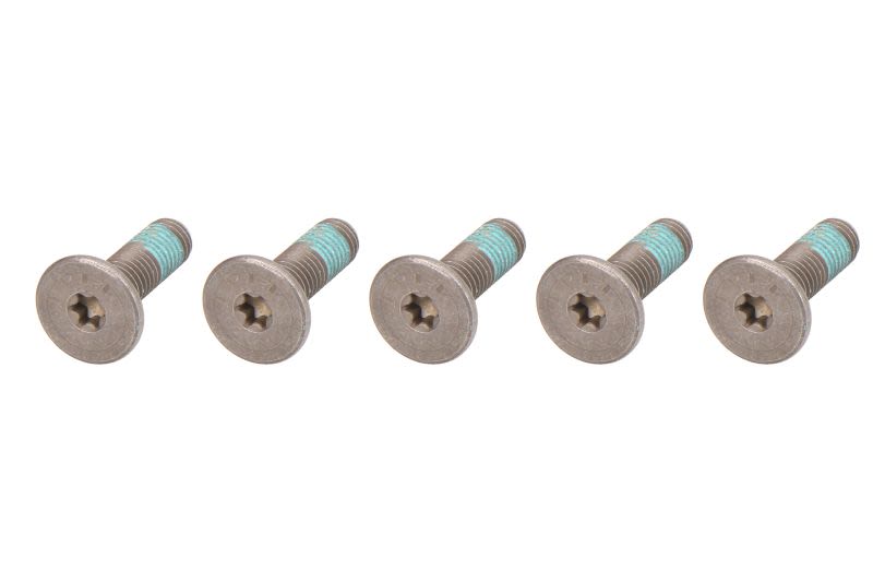 Set șuruburi disc frână TRW lungime 32,6 mm, oțel