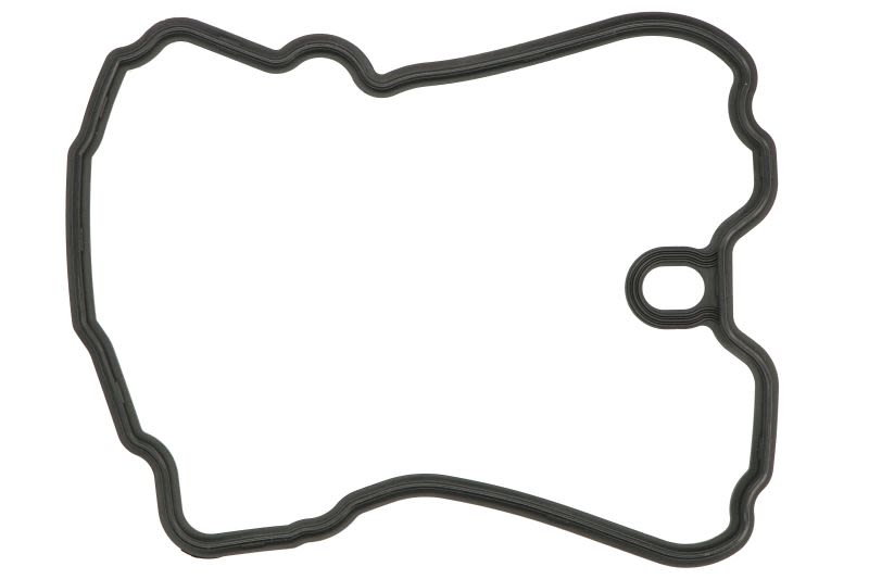 Garnitură capac chiulasă WINDEROSA