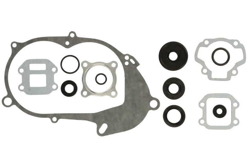 Set complet garnituri motor WINDEROSA