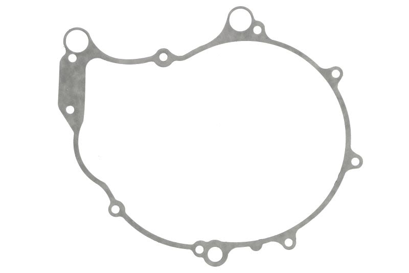 Garnitură capac alternator WINDEROSA