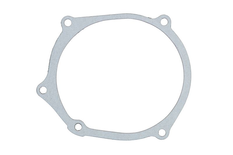 Garnitură capac alternator WINDEROSA