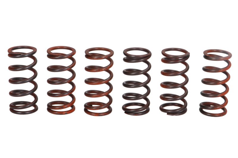 Set arcuri ambreiaj TRW pentru KAWASAKI ZX-10R 1000 2004-2015