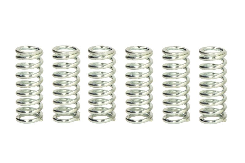 Set arcuri ambreiaj TRW pentru ARCTIC CAT; KAWASAKI ZX-7R, ZXR 400/750 1991-2002