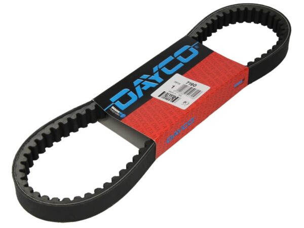 Curea transmisie DAYCO lungime 834,0 mm, lățime 22,0 mm