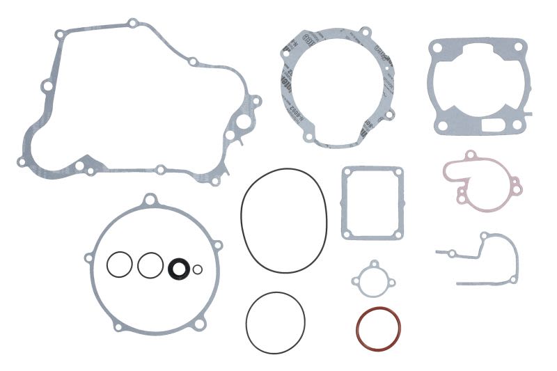 Set complet garnituri motor WINDEROSA
