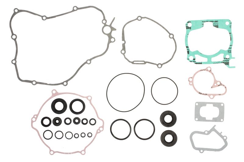 Set complet garnituri motor WINDEROSA