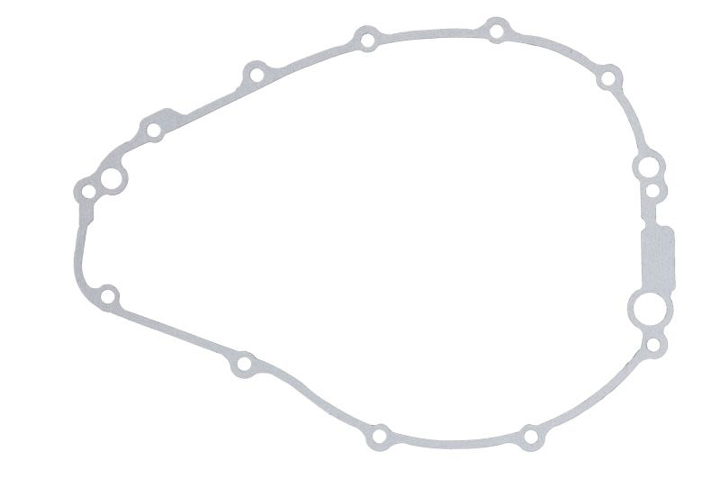 Garnitură capac alternator WINDEROSA