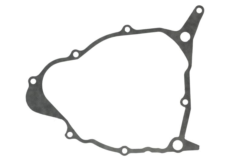 Garnitură capac alternator WINDEROSA