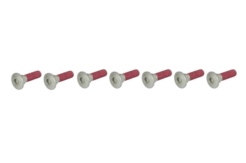 Șurub disc frână TRW lungime 33,2 mm, oțel
