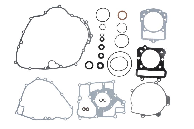 Set complet garnituri motor WINDEROSA