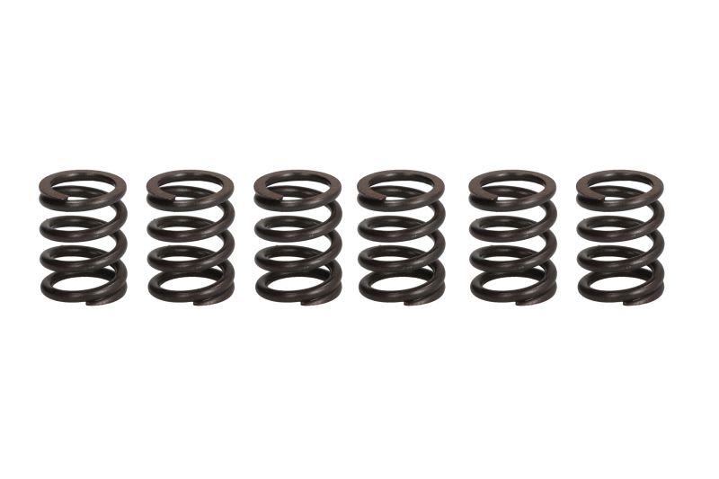 Set arcuri ambreiaj TRW pentru HONDA CB; KAWASAKI ZXR; SUZUKI GN, VL 125-750 1989-2008