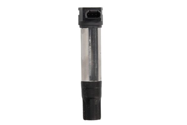 Bobina aprindere BORGWARNER BERU pentru BMW HP2, R 900/1150/1200 2003-2018