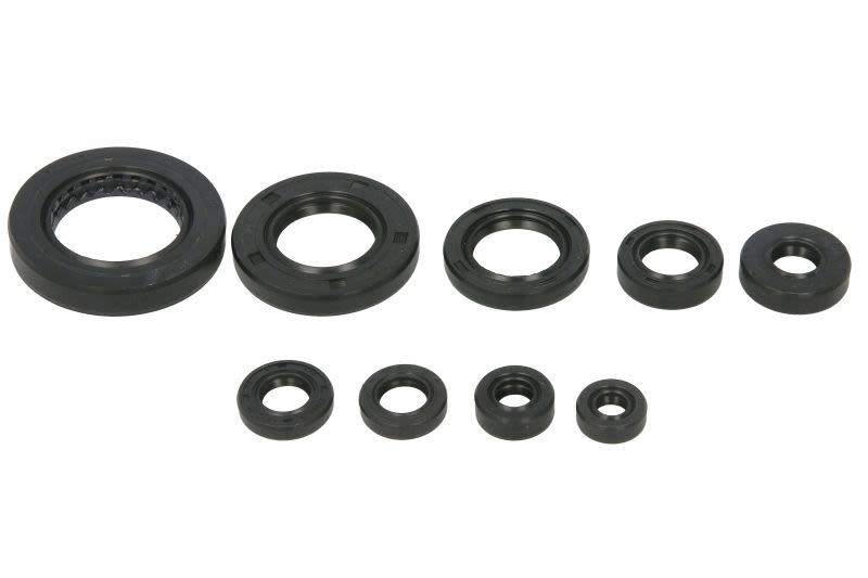 Set simeringuri motor WINDEROSA