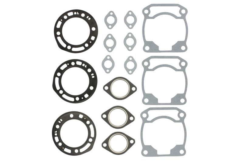 Set complet garnituri motor WINDEROSA