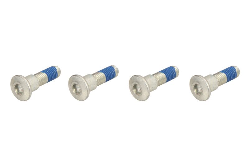Set șuruburi disc frână TRW lungime 33,5 mm, oțel