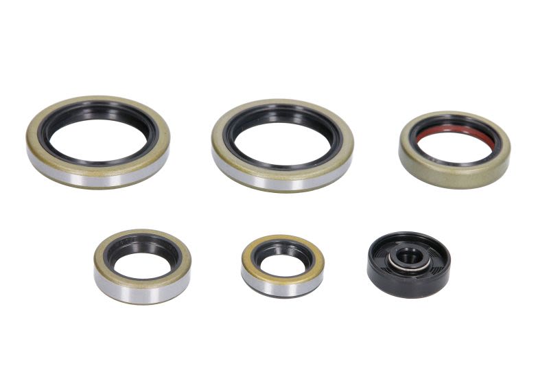 Set simeringuri motor WINDEROSA