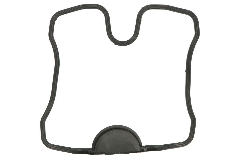Garnitură capac chiulasă WINDEROSA