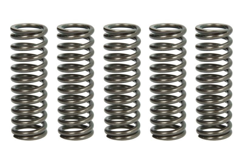 Set arcuri ambreiaj TRW pentru APRILIA PEGASO 650/660 2005-2010