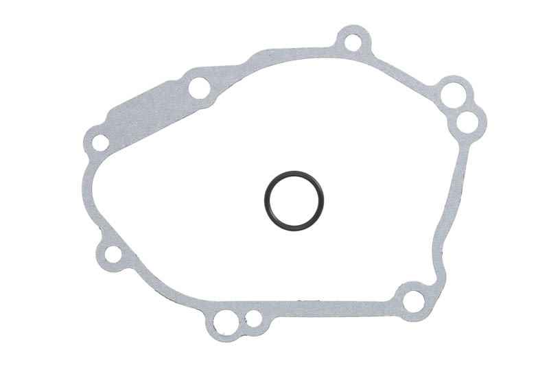 Garnitură capac alternator WINDEROSA