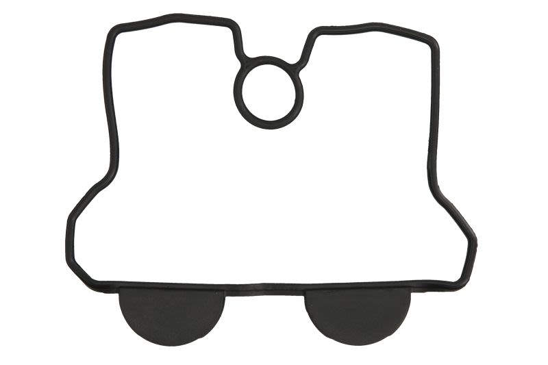 Garnitură capac chiulasă WINDEROSA
