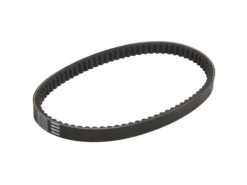 Curea transmisie ATHENA lungime 800,0 mm, lățime 20,0 mm, grosime 10,0 mm