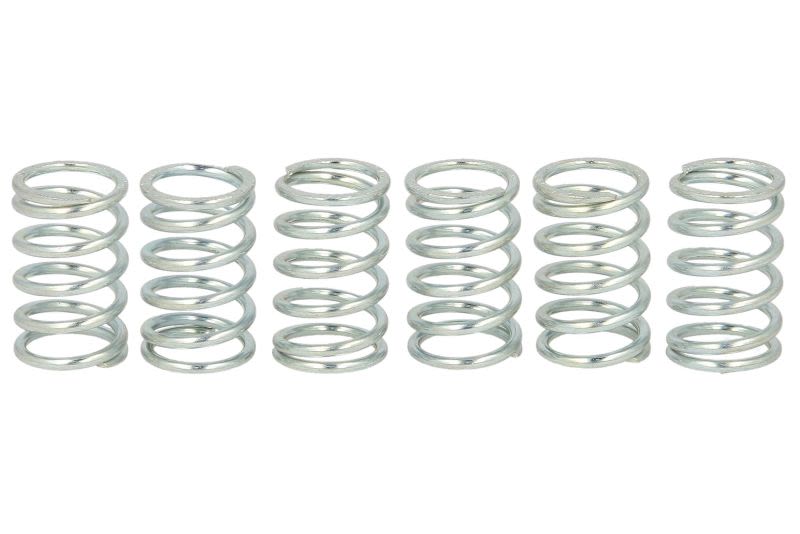 Set arcuri ambreiaj FERODO