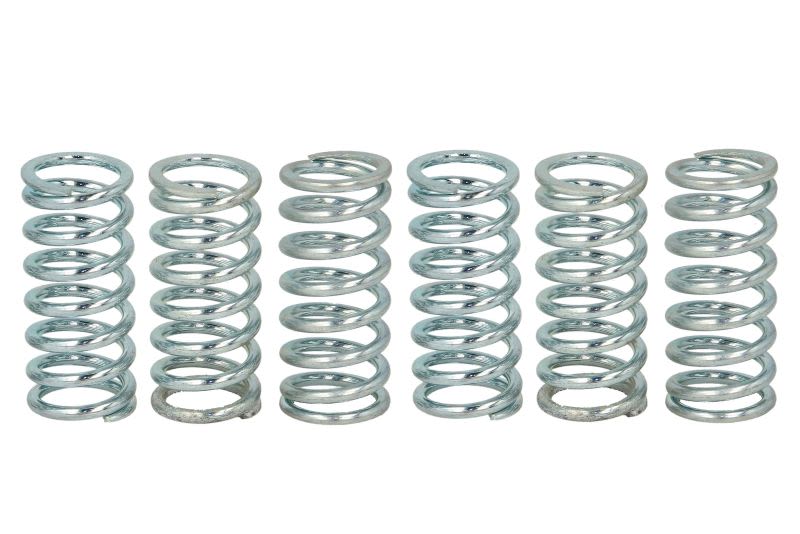 Set arcuri ambreiaj TRW pentru APRILIA ETV, MOTO, PEGASO, RST, RSV, SL, TUONO; BMW F 650/1000 1993-2010