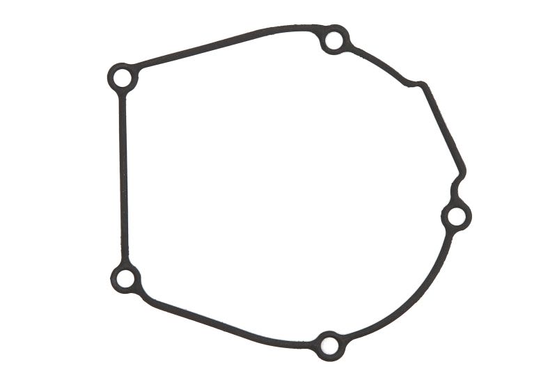 Garnitură capac alternator WINDEROSA