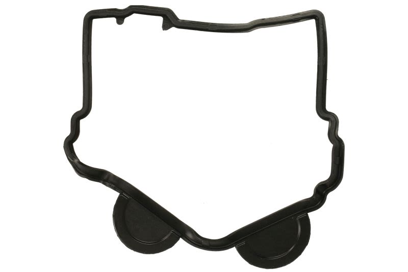Garnitură capac chiulasă WINDEROSA