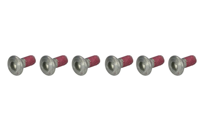 Set șuruburi disc frână TRW lungime 17 mm, oțel