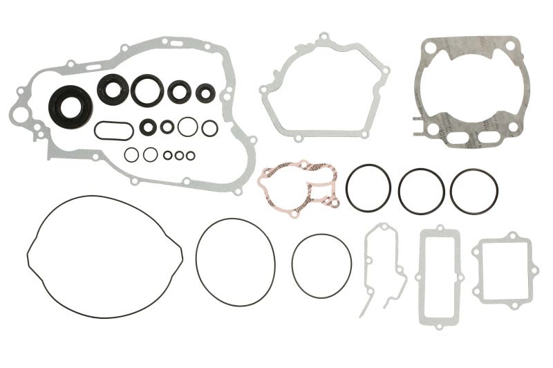 Set complet garnituri motor WINDEROSA
