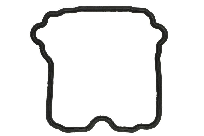 Garnitură capac chiulasă ATHENA