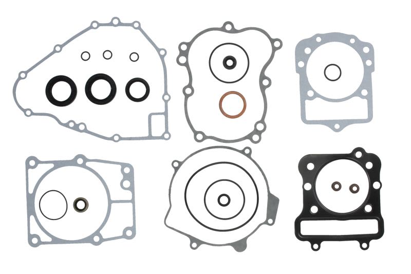 Set complet garnituri motor WINDEROSA