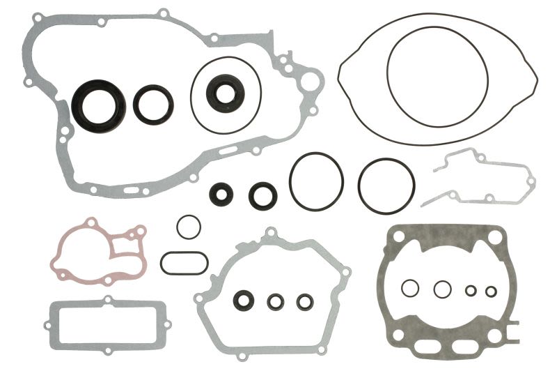 Set complet garnituri motor WINDEROSA