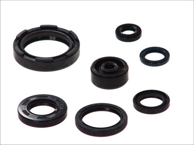 Set complet garnituri motor ATHENA
