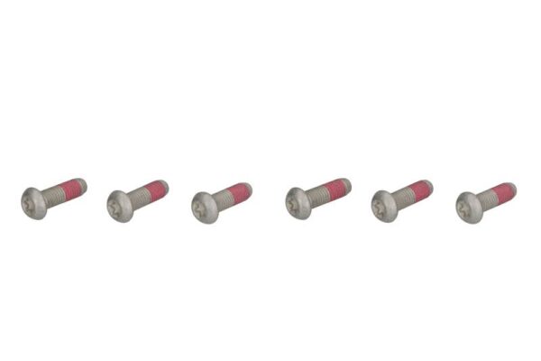 Set șuruburi disc frână TRW lungime 29,5 mm, oțel