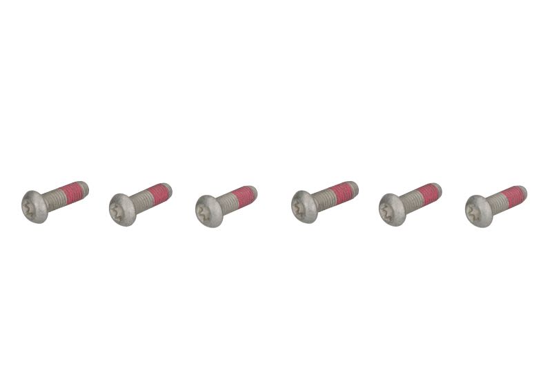 Set șuruburi disc frână TRW lungime 29,5 mm, oțel