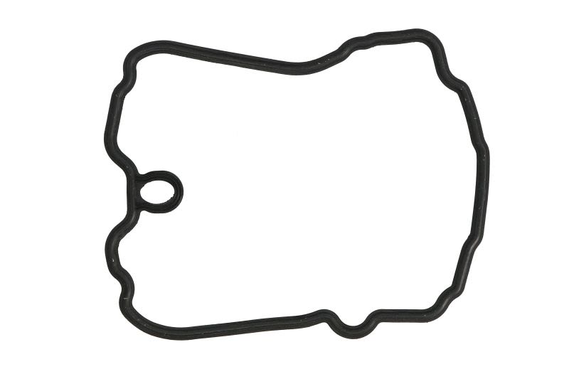 Garnitură capac chiulasă ATHENA