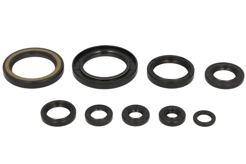 Set simeringuri motor WINDEROSA