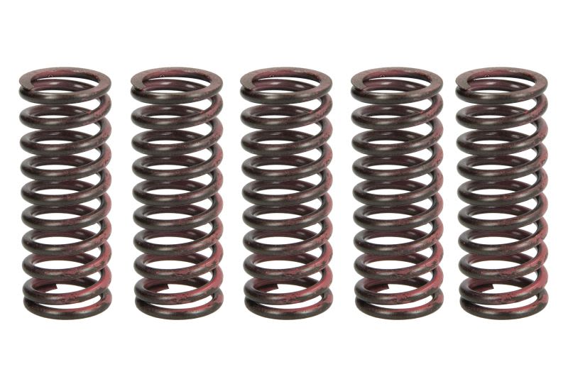 Set arcuri ambreiaj TRW pentru KAWASAKI KX 125/250 2003-2022
